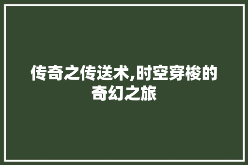 传奇之传送术,时空穿梭的奇幻之旅