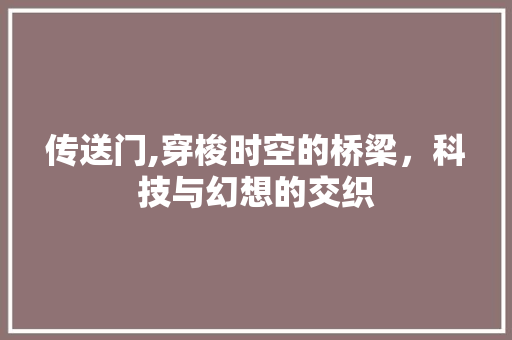 传送门,穿梭时空的桥梁，科技与幻想的交织