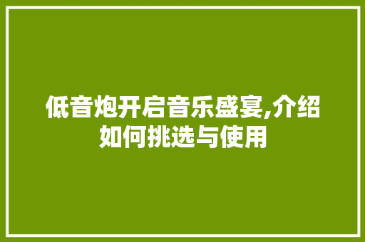 低音炮开启音乐盛宴,介绍如何挑选与使用