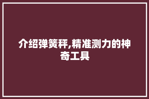 介绍弹簧秤,精准测力的神奇工具