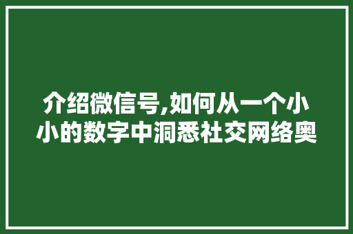 介绍微信号,如何从一个小小的数字中洞悉社交网络奥秘