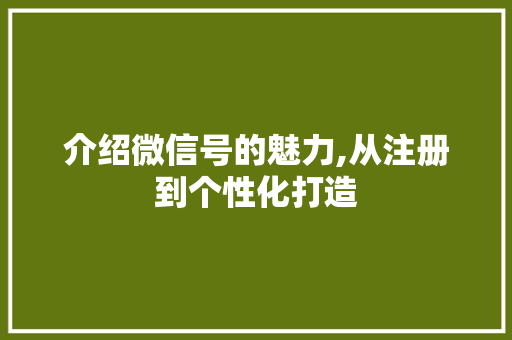 介绍微信号的魅力,从注册到个性化打造
