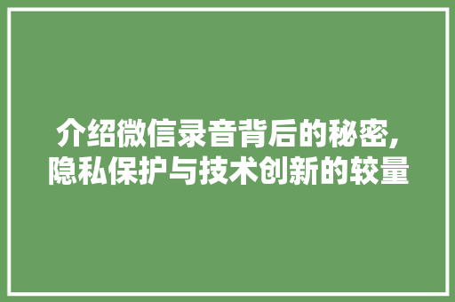 介绍微信录音背后的秘密,隐私保护与技术创新的较量