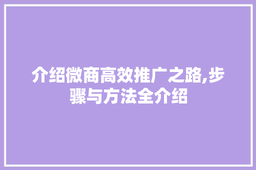 介绍微商高效推广之路,步骤与方法全介绍