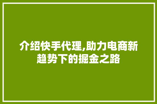 介绍快手代理,助力电商新趋势下的掘金之路