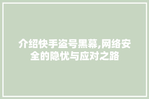 介绍快手盗号黑幕,网络安全的隐忧与应对之路