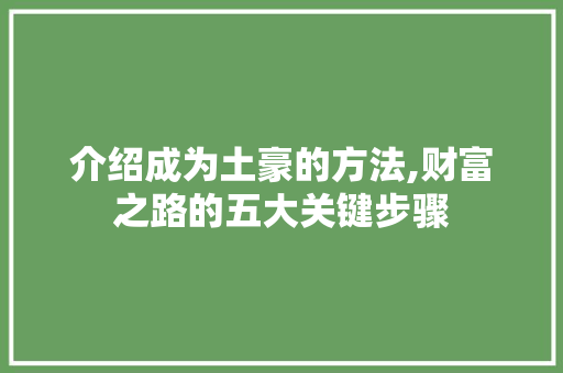 介绍成为土豪的方法,财富之路的五大关键步骤