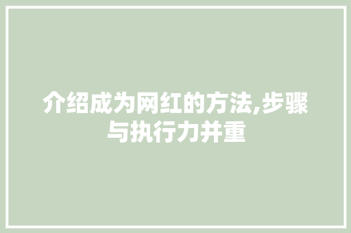 介绍成为网红的方法,步骤与执行力并重
