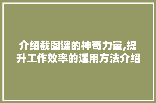介绍截图键的神奇力量,提升工作效率的适用方法介绍