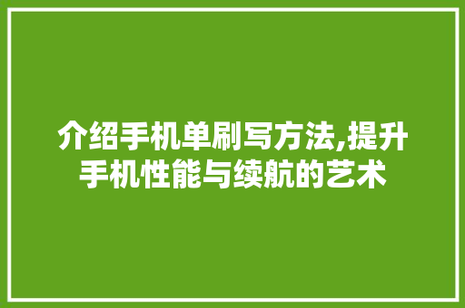 介绍手机单刷写方法,提升手机性能与续航的艺术