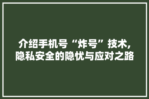 介绍手机号“炸号”技术,隐私安全的隐忧与应对之路