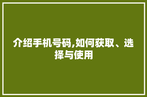 介绍手机号码,如何获取、选择与使用