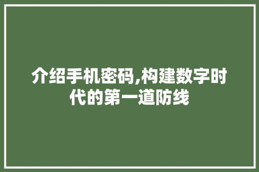 介绍手机密码,构建数字时代的第一道防线