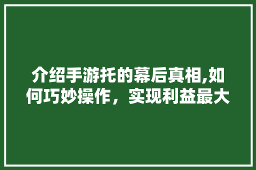 介绍手游托的幕后真相,如何巧妙操作，实现利益最大化