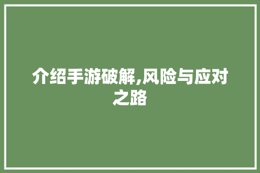 介绍手游破解,风险与应对之路