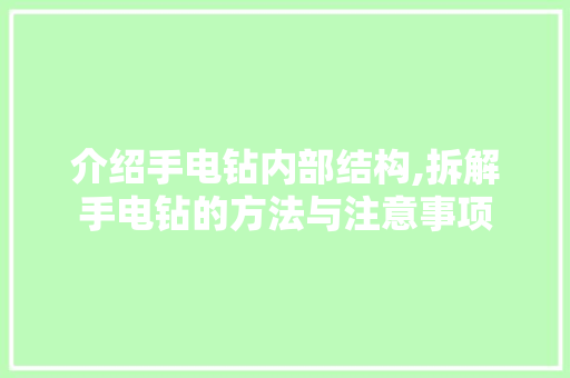 介绍手电钻内部结构,拆解手电钻的方法与注意事项