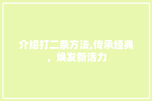 介绍打二条方法,传承经典，焕发新活力