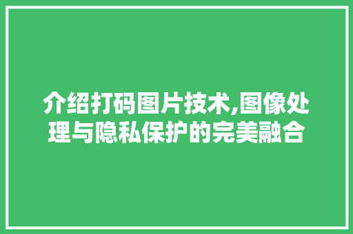 介绍打码图片技术,图像处理与隐私保护的完美融合