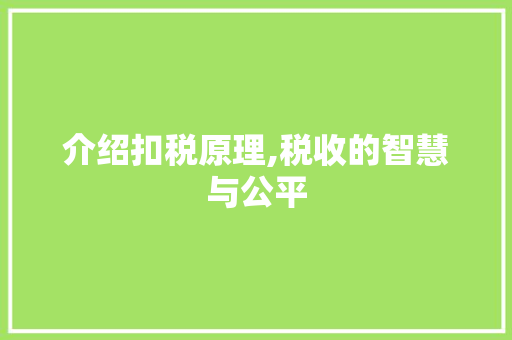 介绍扣税原理,税收的智慧与公平