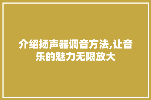 介绍扬声器调音方法,让音乐的魅力无限放大