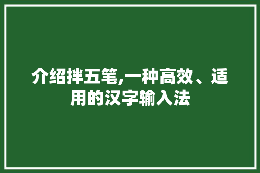 介绍拌五笔,一种高效、适用的汉字输入法