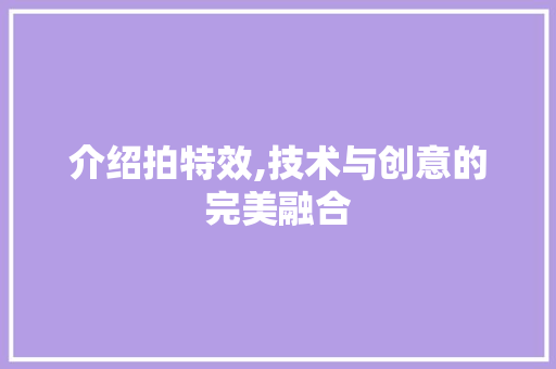 介绍拍特效,技术与创意的完美融合