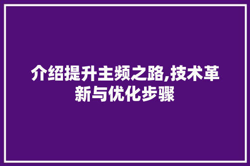 介绍提升主频之路,技术革新与优化步骤