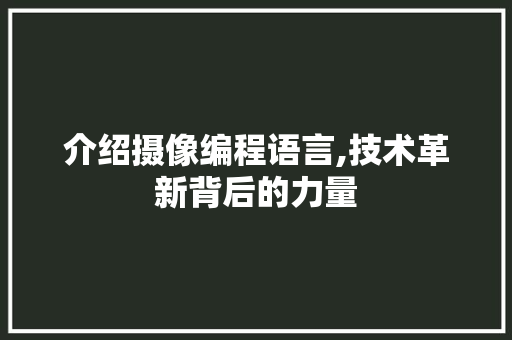 介绍摄像编程语言,技术革新背后的力量