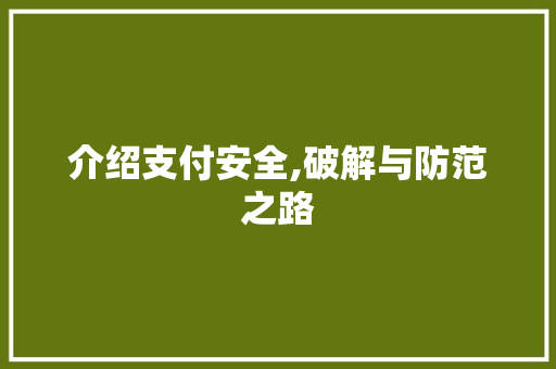 介绍支付安全,破解与防范之路