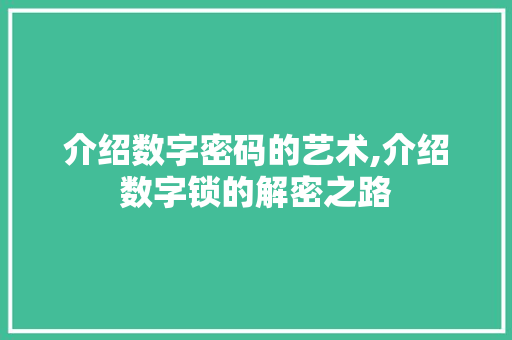 介绍数字密码的艺术,介绍数字锁的解密之路