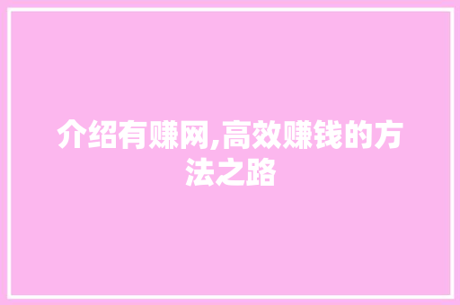 介绍有赚网,高效赚钱的方法之路