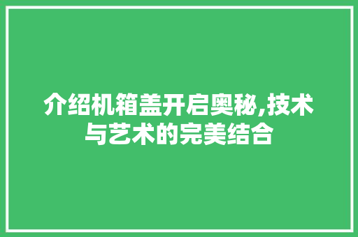 介绍机箱盖开启奥秘,技术与艺术的完美结合