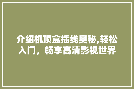 介绍机顶盒插线奥秘,轻松入门，畅享高清影视世界