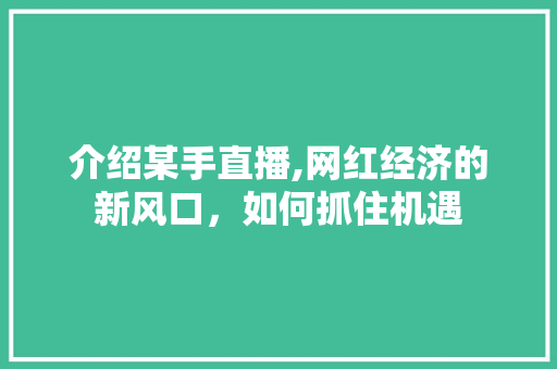 介绍某手直播,网红经济的新风口，如何抓住机遇