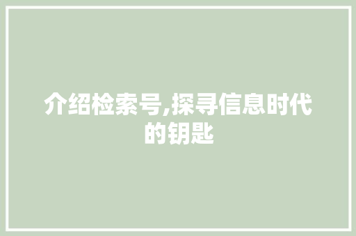 介绍检索号,探寻信息时代的钥匙