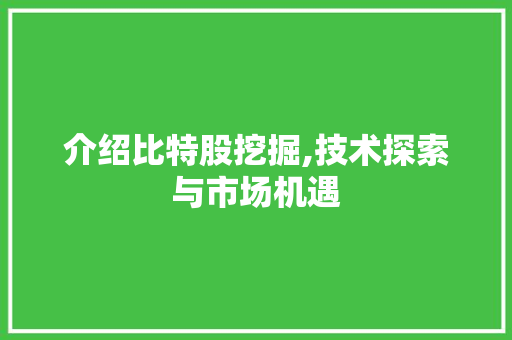 介绍比特股挖掘,技术探索与市场机遇