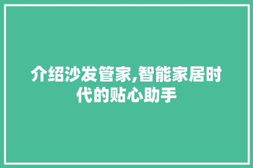 介绍沙发管家,智能家居时代的贴心助手