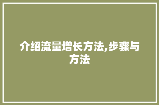介绍流量增长方法,步骤与方法