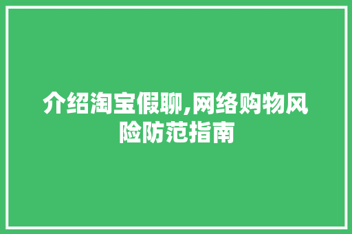 介绍淘宝假聊,网络购物风险防范指南