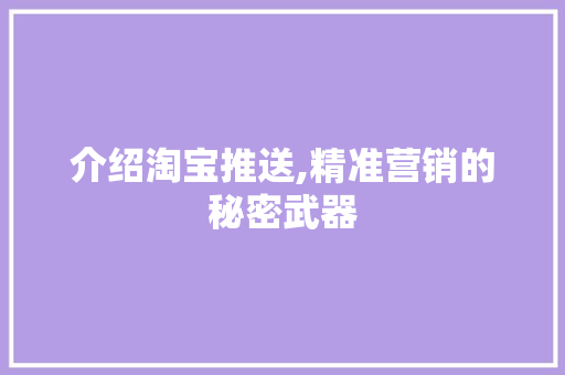 介绍淘宝推送,精准营销的秘密武器