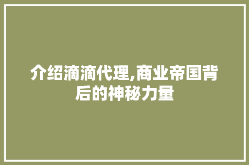 介绍滴滴代理,商业帝国背后的神秘力量