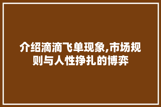 介绍滴滴飞单现象,市场规则与人性挣扎的博弈