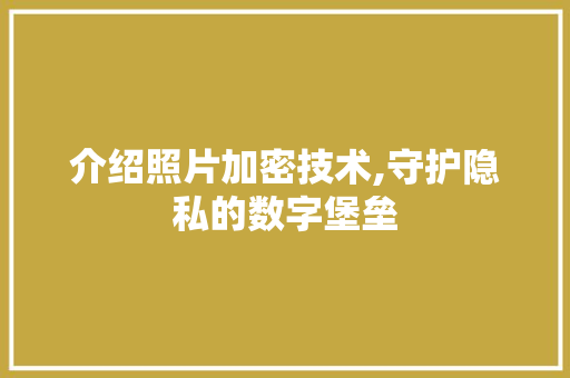 介绍照片加密技术,守护隐私的数字堡垒