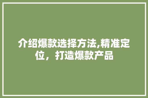 介绍爆款选择方法,精准定位，打造爆款产品