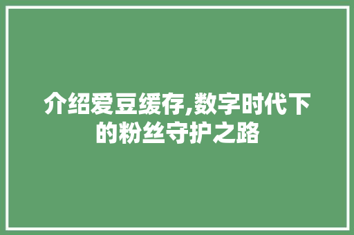 介绍爱豆缓存,数字时代下的粉丝守护之路