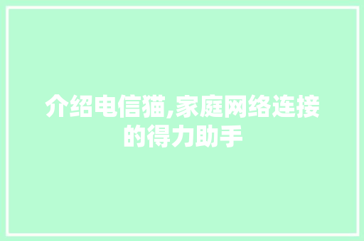 介绍电信猫,家庭网络连接的得力助手