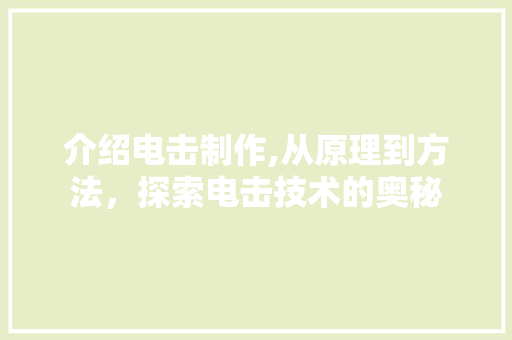 介绍电击制作,从原理到方法，探索电击技术的奥秘