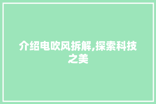 介绍电吹风拆解,探索科技之美