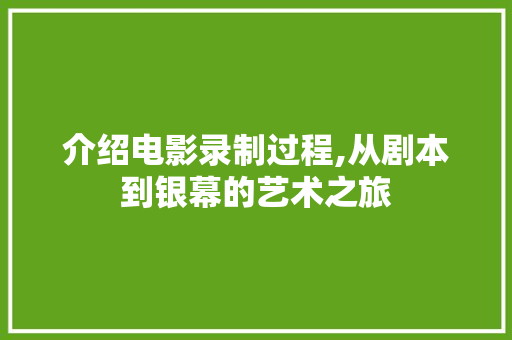 介绍电影录制过程,从剧本到银幕的艺术之旅