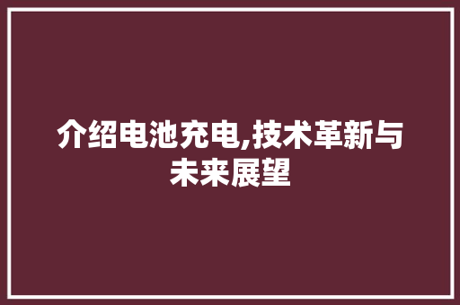 介绍电池充电,技术革新与未来展望